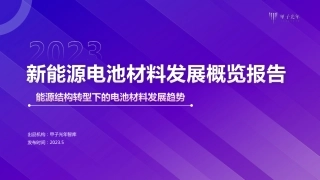 2023新能源电池材料发展概览报告--甲子光年.pdf