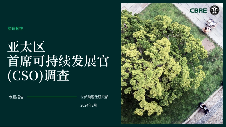 zh-cn_亚太区首席可持续发展官cso调查-30页.pdf_第1页