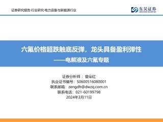 东吴证券：六氟价格超跌触底反弹，龙头具备盈利弹性.pdf