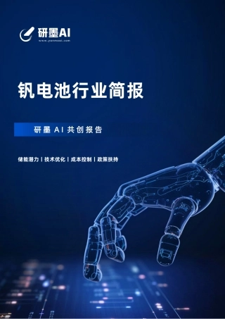 钒电池行业简报-研墨AI.pdf