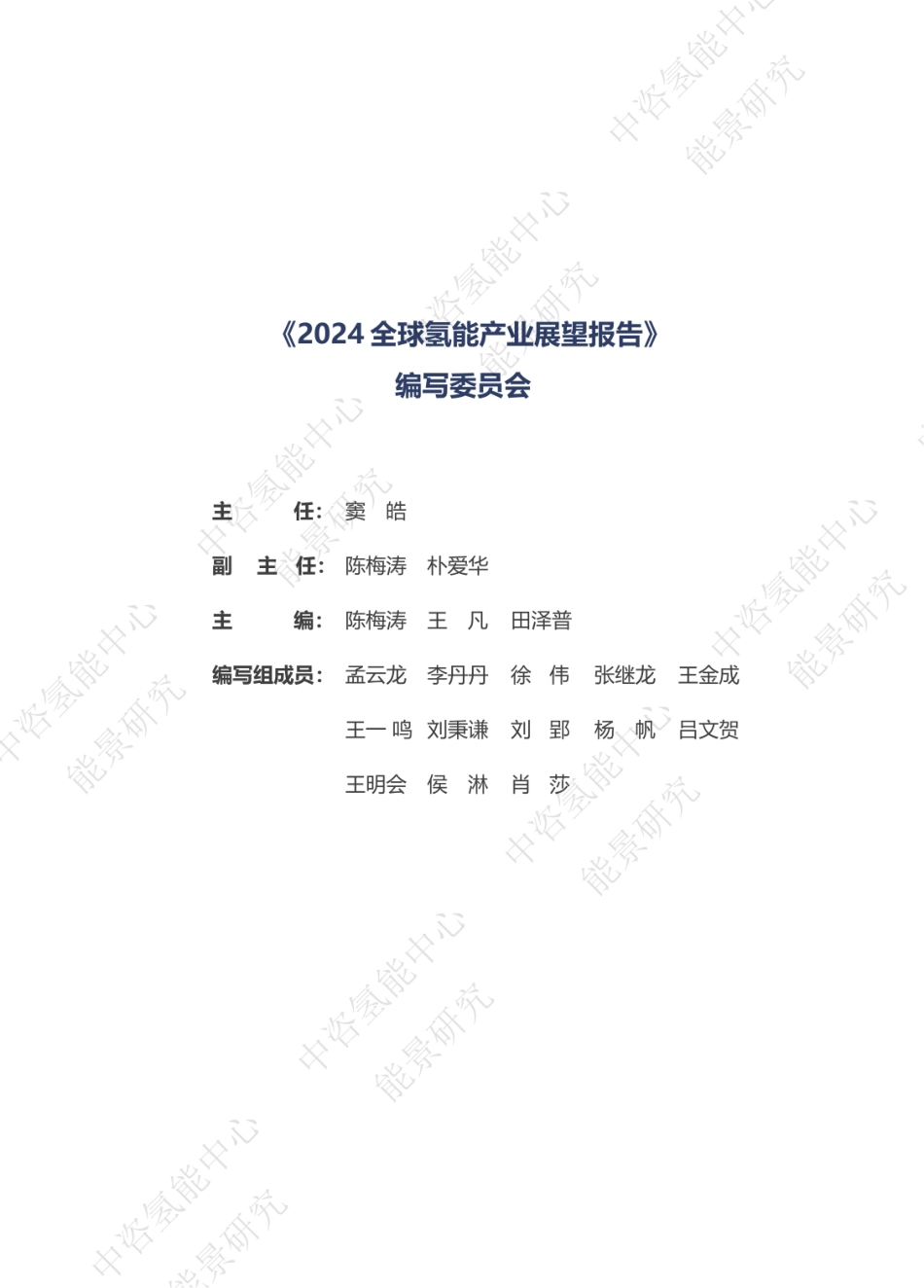 2024全球氢能产业展望报告.pdf_第2页