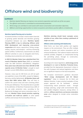 海上风电与生物多样性.pdf