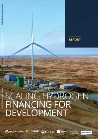世界银行-扩大氢能融资促进发展（英）-2024-128页.pdf