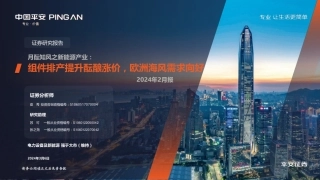 月酝知风之新能源产业：组件排产提升酝酿涨价，欧洲海风需求向好-240306-平安证券-24页.pdf