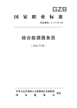 综合能源服务员（职业标准）.pdf
