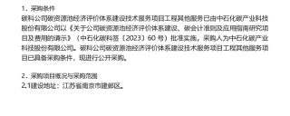 【招标】碳系统200万-碳科公司碳资源池经济评价体系建设技术服务项目工程其他服务一标段竞标采购公告.pdf