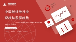 中国碳纤维行业现状与发展趋势：加速成长的材料巨人与未来应用的无限潜能-灼鼎咨询-2024.3-39页
