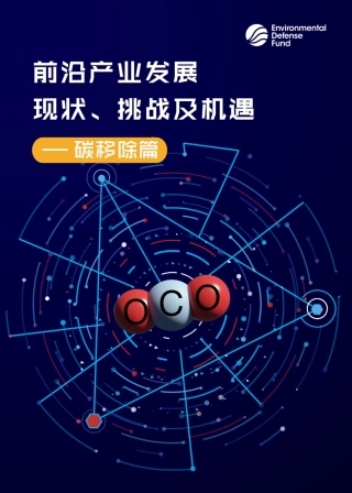 前沿产业发展现状、挑战及机遇-碳移除篇-EDF
