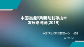 5、中国碳捕集利用与封存技术发展路线图-29页