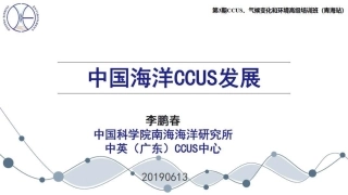 中国海洋CCUS发展-48页