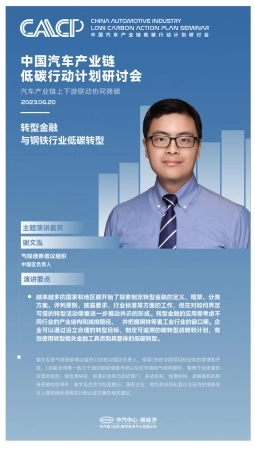 转型金融与钢铁行业低碳转型-谢文泓