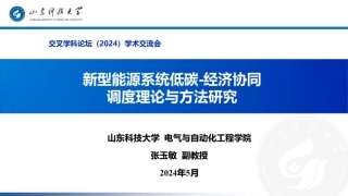 山东科技大学 张玉敏：2024新型能源系统低碳-经济协同调度理论方法研究报告