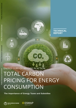 能源消费的总碳定价：能源税和补贴的重要性-世界银行（英）