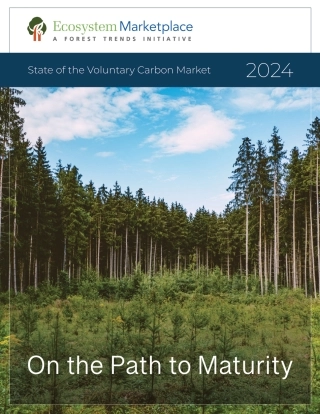 自愿碳市场现状2024（英）