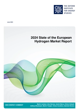 欧洲氢能市场现状报告2024