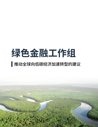 2024绿色金融工作组白皮书-国际金融论坛（IFF）