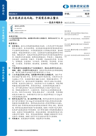 2024氢洁能源应运而起，中国需求独占鳌头——氢能专题报告-国泰君安