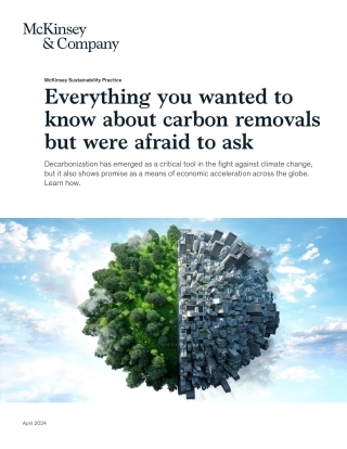 麦肯锡-你想知道的关于碳去除的一切，但又不敢问（英）-2024.4