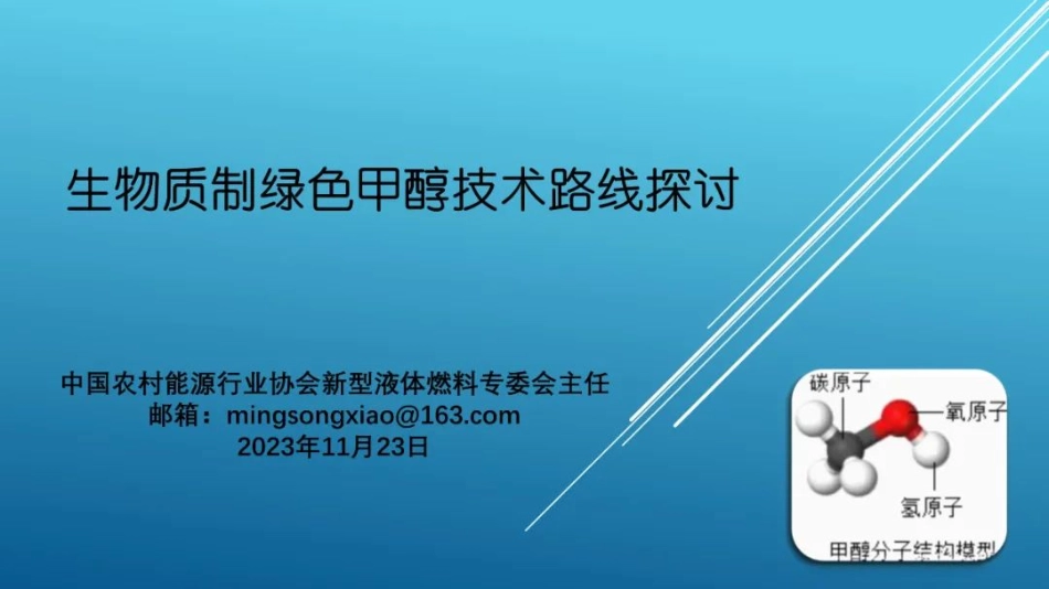 生物质制绿色甲醇技术路线探讨_第1页