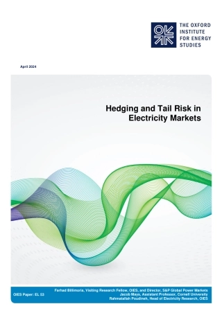 2024电力市场的对冲尾部风险研究报告-牛津能源研究所
