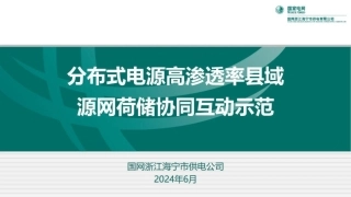 分布式电源高渗透率县域源网荷储协同互动示范