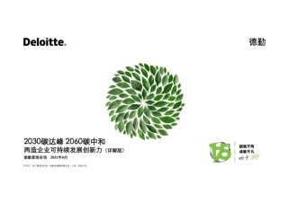 2030碳达峰和2060碳中和再造企业可持续发展创新力(详解版)