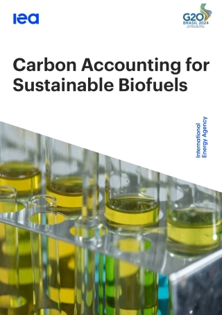 持续生物燃料的碳核算（英）