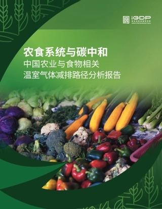 绿色创新发展研究院（iGDP）：农食系统与碳中和——中国农业与食物相关温室气体减排路径分析报告