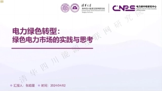 电力绿色转型：绿色电力市场的实践与思考