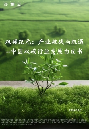 双碳纪元：产业机遇与挑战白皮书