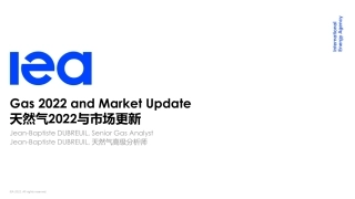 天然气分析及展望2022-2025（英）