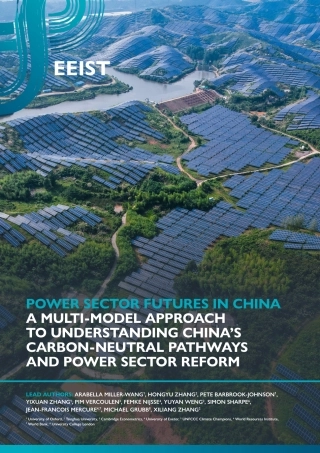 理解中国碳中和路径和电力行业改革的多模型方法（英）