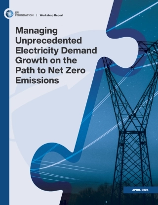 2024年在实现净零排放的路径中驾驭前所未有的电力需求增长报告（英）