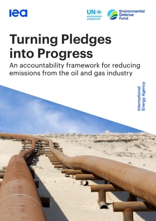 Turning Pledges into Progress（英）