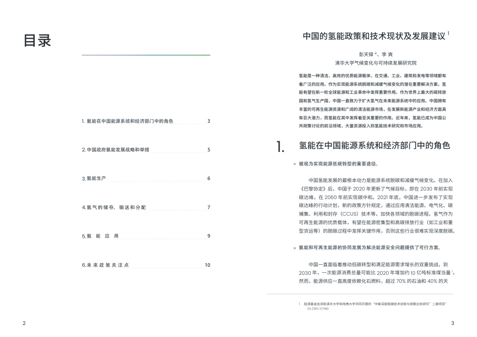 中国的氢能政策和技术现状及发展建议_第2页