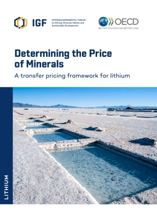 2024年矿产定价决定因素分析：锂的转让定价框架报告（英）