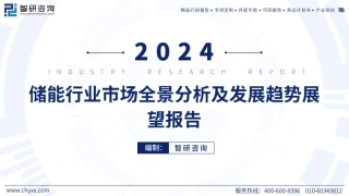 2024年储能行业市场全景分析及发展趋势展望报告