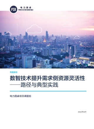 2024年数智技术提升需求侧资源灵活性——路径与典型实践报告
