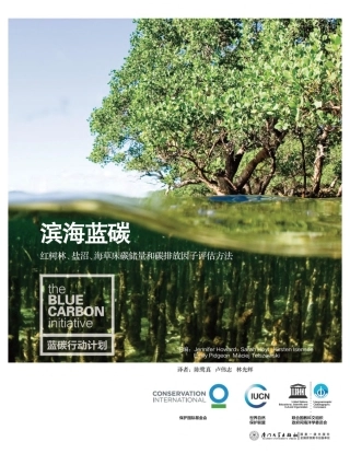 蓝碳手册（中文版）