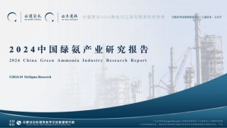 2024年中国绿氨产业研究报告