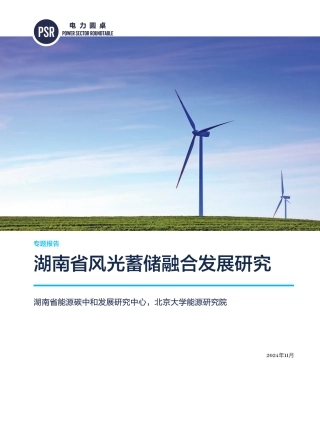 2024年湖南省风光蓄储融合发展研究专题报告