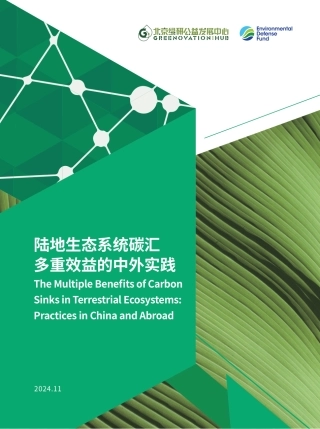 陆地生态系统碳汇多重效益的中外实践
