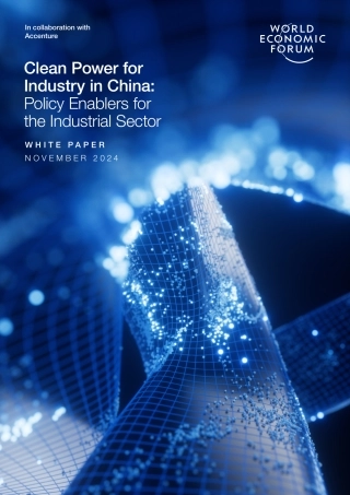中国工业清洁能源：工业部门的政策扶持因素（英文版）