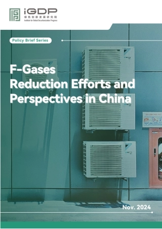 中国减少含氟气体的努力和前景（英文版）