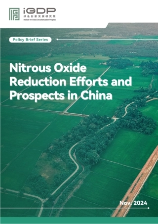 中国减少一氧化二氮的努力和前景（英文版）
