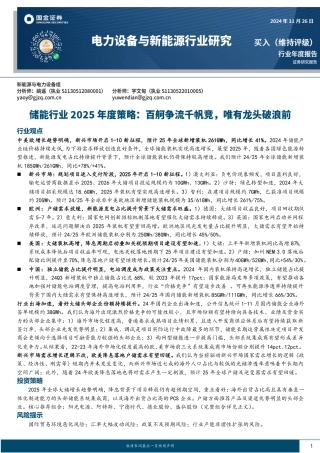 国金证券：储能行业2025年度策略：百舸争流千帆竞，唯有龙头破浪前