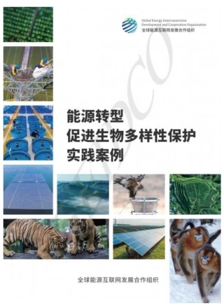 能源转型促进生物多样性保护实践案例