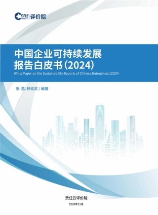 中国企业可持续发展报告白皮书