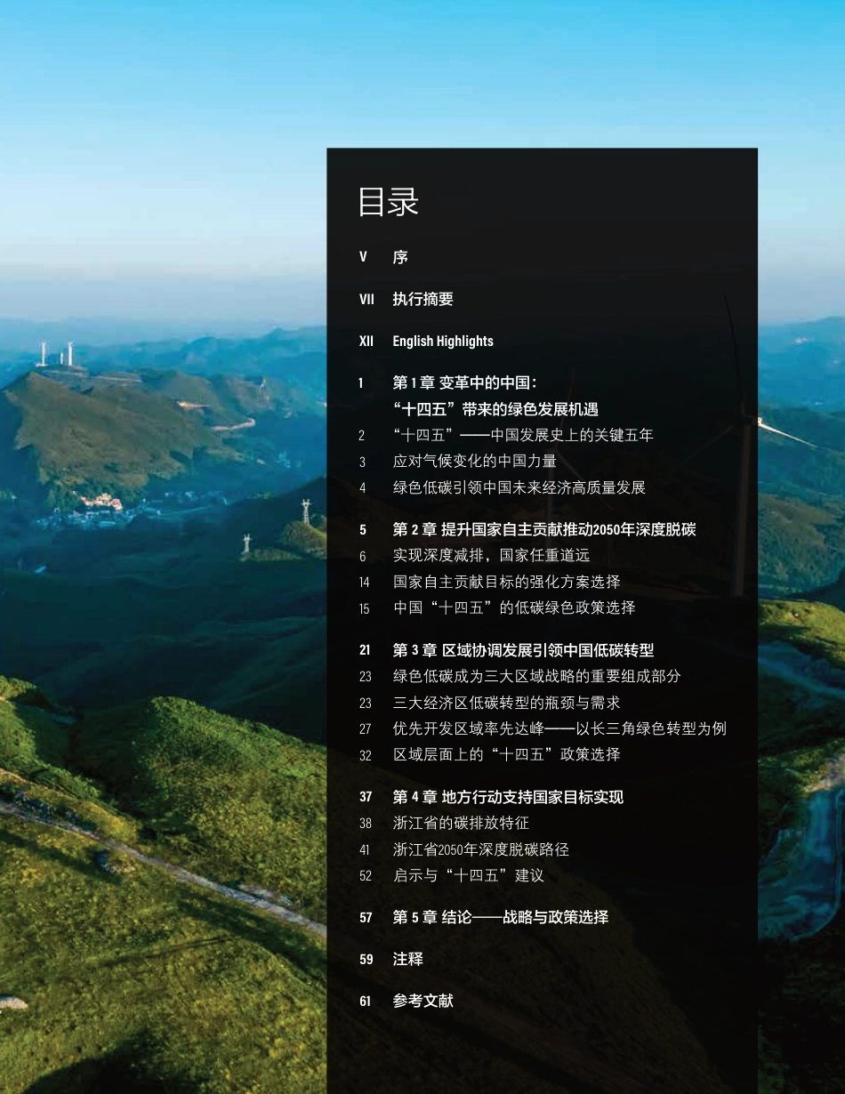 零碳之路： “十四五”开启中国绿色发展新篇章_第3页