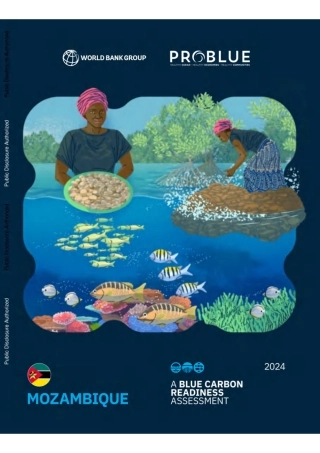 莫桑比克：蓝碳准备评估（英文版）